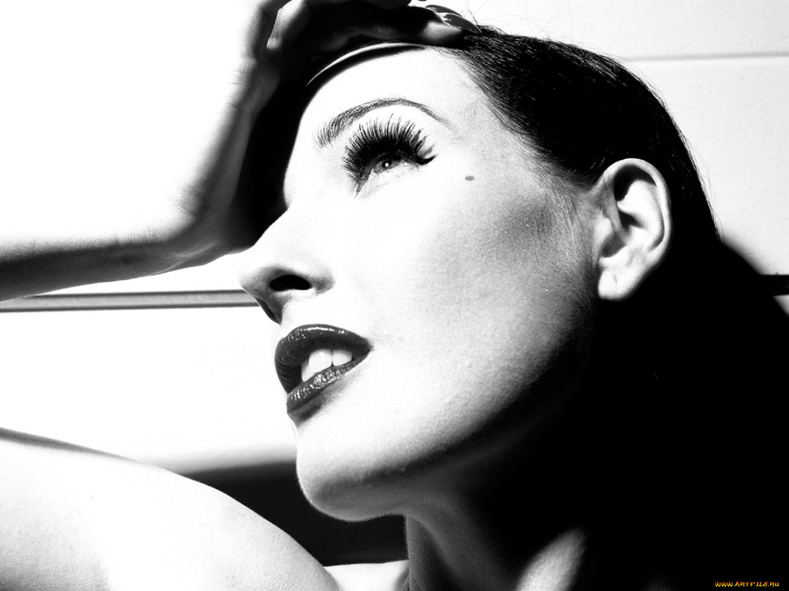 Dita Von Teese, , , , , 